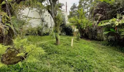Terreno residencial para Venda na Vila Irmãos Arnoni, ótima localização, ao lado da Rua do Horto, Parque Horto Florestal,