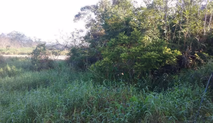 Terreno à venda, 4000 m² por R$ 400.000,00 - Espinheiros - Itajaí/SC