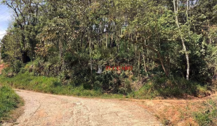 Terreno à venda, 1360 m² por R$ 135.000,00 - Luiz Fagundes - Mairiporã/SP