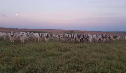 Fazenda à venda, 49464800 m² por R$ 511.000.000,00 - Centro - Pompéia/SP