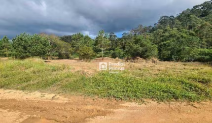 Terreno à venda, 620 m² por R$ 130.000,00 - Nova Suíça - Nova Friburgo/RJ