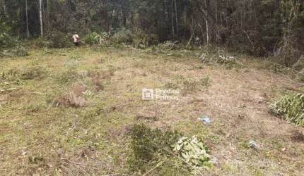 Terreno à venda, 800 m² por R$ 150.000,00 - Mury - Nova Friburgo/RJ
