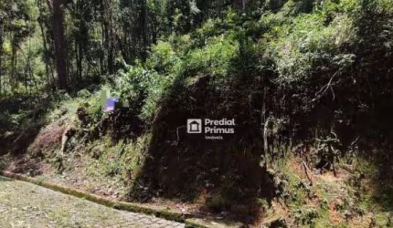Terreno à venda, 956 m² por R$ 330.000,00 - Cônego - Nova Friburgo/RJ