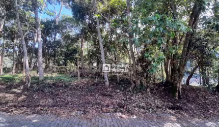 Terreno à venda, 480 m² por R$ 200.000,00 - Vargem Grande - Nova Friburgo/RJ