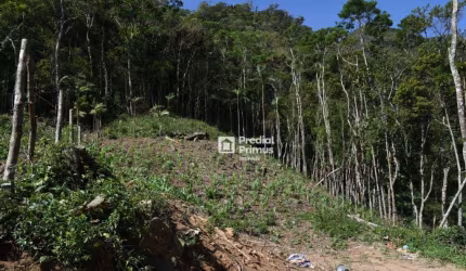 Terreno à venda, 780 m² por R$ 380.000,00 - São Pedro da Serra - Nova Friburgo/RJ