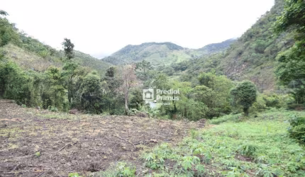 Terreno à venda, 255553 m² por R$ 2.700.000,00 - São Pedro da Serra - Nova Friburgo/RJ