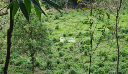 Terreno à venda, 14340 m² por R$ 450.000,00 - Riograndina - Nova Friburgo/RJ
