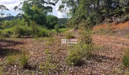 Terreno à venda, 20159 m² por R$ 299.000,00 - COLONIAL 61 - Nova Friburgo/RJ