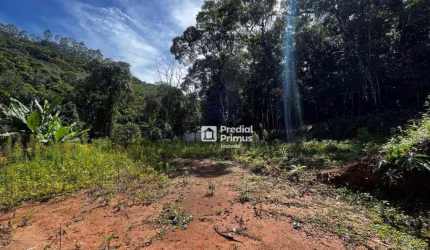 Terreno à venda, 3929 m² por R$ 190.000,00 - Mury - Nova Friburgo/RJ