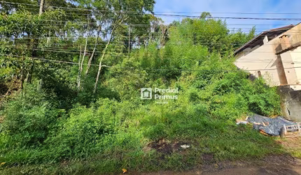 Terreno à venda, 896 m² por R$ 280.000,00 - Praça da Furunfa - Nova Friburgo/RJ