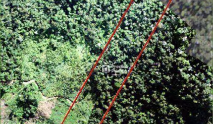 Terreno à venda, 32000 m² por R$ 330.000,00 - São Pedro da Serra - Nova Friburgo/RJ