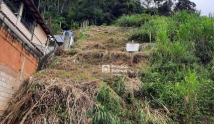 Terreno à venda, 246 m² por R$ 159.000,00 - Catarcione - Nova Friburgo/RJ
