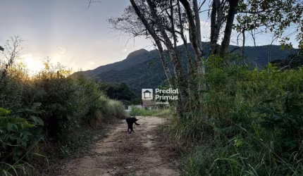 Terreno à venda, 459 m² por R$ 137.800,00 - Lumiar - Nova Friburgo/RJ