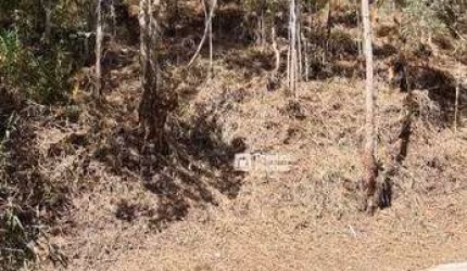Terreno à venda, 650 m² por R$ 180.000,00 - Parque São Clemente - Nova Friburgo/RJ