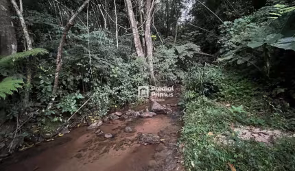 Terreno à venda, 1100 m² por R$ 330.050,00 - Lumiar - Nova Friburgo/RJ