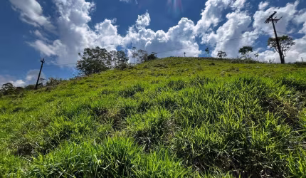 Terreno à venda, 1516 m² por R$ 80.000,00 - Campo do Coelho - Nova Friburgo/RJ