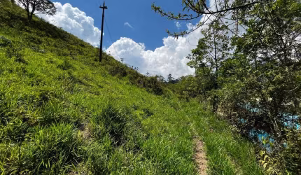 Terreno à venda, 2396 m² por R$ 90.000,00 - Campo do Coelho - Nova Friburgo/RJ