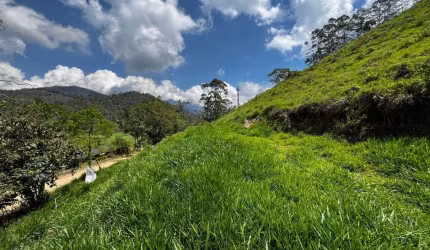 Terreno à venda, 990 m² por R$ 70.000,00 - Campo do Coelho - Nova Friburgo/RJ
