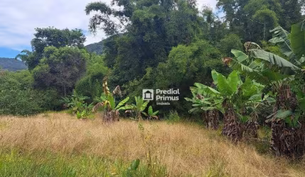 Terreno à venda, 530 m² por R$ 167.000,00 - Sana - Macaé/RJ