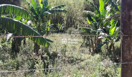 Terreno à venda, 560 m² por R$ 167.000,00 - Sana - Macaé/RJ
