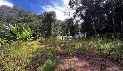 Terreno à venda, 7522 m² por R$ 350.000,00 - Mury - Nova Friburgo/RJ