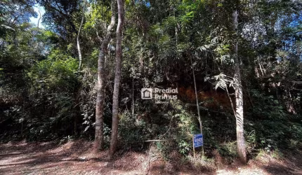 Terreno à venda, 973 m² por R$ 200.000,00 - Ponte da Saudade - Nova Friburgo/RJ