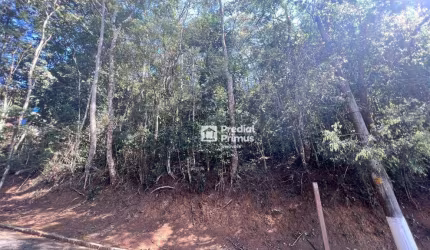 Terreno à venda, 537 m² por R$ 130.000,00 - Ponte da Saudade - Nova Friburgo/RJ