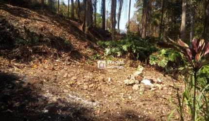 Terreno à venda 2231 m²  - Centro - Nova Friburgo/RJ
