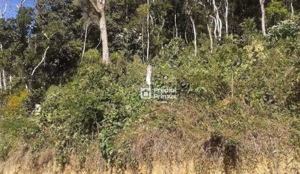 Terreno à venda, 4447 m² por R$ 180.000,00 - Mury - Nova Friburgo/RJ