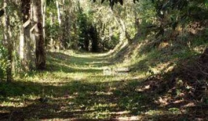 Terreno à venda, 1610 m² por R$ 300.000,00 - Parque Dom João VI - Nova Friburgo/RJ