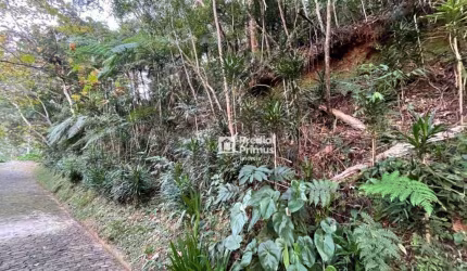 Terreno com RGI , 2345 m² à venda por R$ 350.000 - Mury - Nova Friburgo/RJ