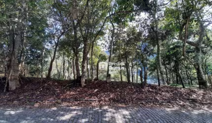Terreno à venda, 364 m² por R$ 200.000,00 - Vargem Grande - Nova Friburgo/RJ