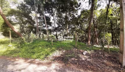 Terreno à venda, 370 m² por R$ 200.000,00 - Vargem Grande - Nova Friburgo/RJ