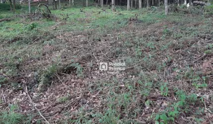Terreno à venda, 452 m² por R$ 200.000,00 - Vargem Grande - Nova Friburgo/RJ