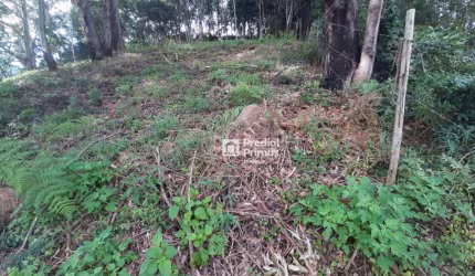 Terreno à venda, 423 m² por R$ 200.000,00 - Vargem Grande - Nova Friburgo/RJ