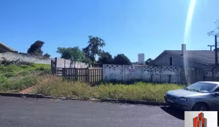 TERRENO Á VENDA  ,  Nova Rússia, Ponta Grossa - TE416