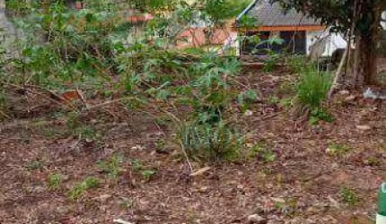 Terreno à venda, 175 m² por R$ 127.200,00 - Parque Residencial Santo André - Caçapava/SP