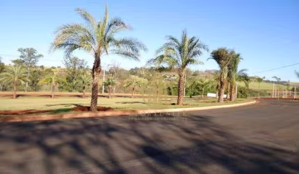 Terreno à venda, 250 m² por R$ 550.000,00 - Alphaville - Ribeirão Preto/SP
