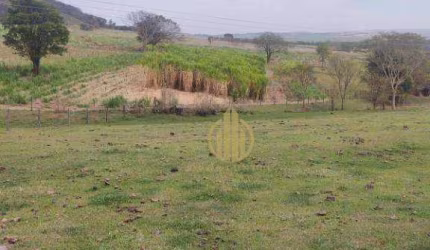 Fazenda com 3 dormitórios à venda, 157300 m² por R$ 1.650.000,00 - Sao Simao - São Simão/SP