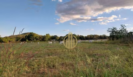 Fazenda com 3 dormitórios à venda, 5000000 m² por R$ 18.020.000,00 - Zona Rural - Niquelândia/GO