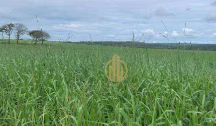 Fazenda à venda, 18000000 m² por R$ 35.000.000 - Zona Rural - Barra do Garças/MT