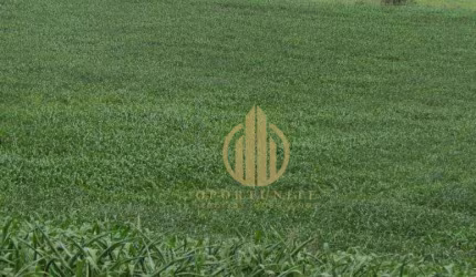 Terreno à venda, 210 m² por R$ 185.000,00 - Santa Cecília - Ribeirão Preto/SP