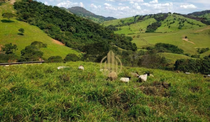 Área  para lazer e ou cultivo venda, 730000 m² por R$ 4.000.000 - Zona Rural - Capitólio/MG