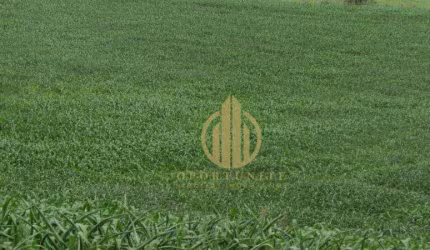 Terreno à venda, 250 m² por R$ 206.700,00 - Bonfim Paulista - Ribeirão Preto/SP