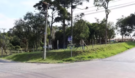Terreno, 2100 m² - venda por R$ 1.200.000,00 ou aluguel por R$ 2.666,67/mês - Colônia Rio Grande - São José dos Pinhais/PR