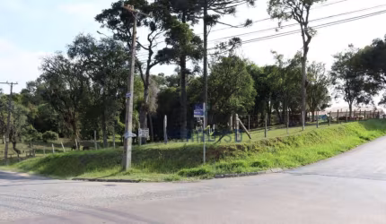 Terreno, 2100 m² - venda por R$ 1.200.000,00 ou aluguel por R$ 2.666,67/mês - Colônia Rio Grande - São José dos Pinhais/PR