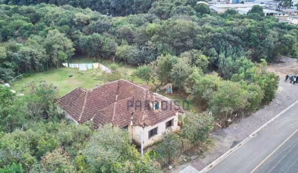 Terreno à venda, 10000 m² por R$ 1.350.000,00 - Butiatuvinha - Curitiba/PR