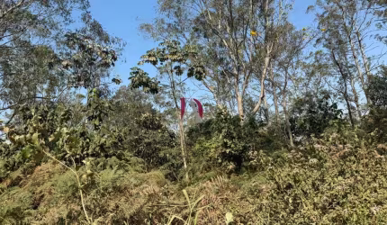 Terreno para Venda em São Bernardo do Campo, Batistini
