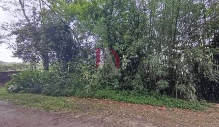 Terreno para Venda em São Bernardo do Campo, Jardim Borda do Campo