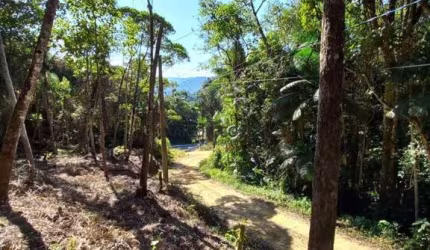 TERRENO EM AGUAS MORNAS